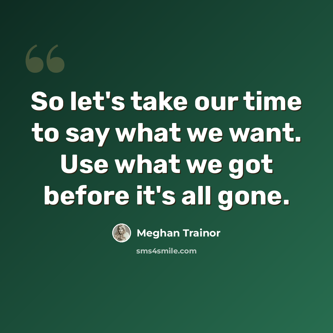 “So let's take our time to say what we want. Use what we got before it's all gone.” quote by Meghan Trainor