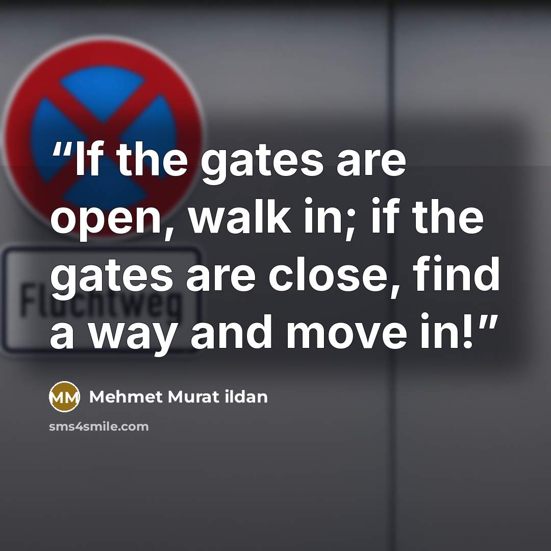 “If the gates are open, walk in; if the gates are close, find a way and move in!” quote by Mehmet Murat ildan