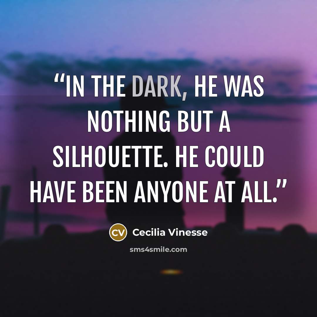 “In the dark, he was nothing but a silhouette. He could have been anyone at all.” quote by Cecilia Vinesse