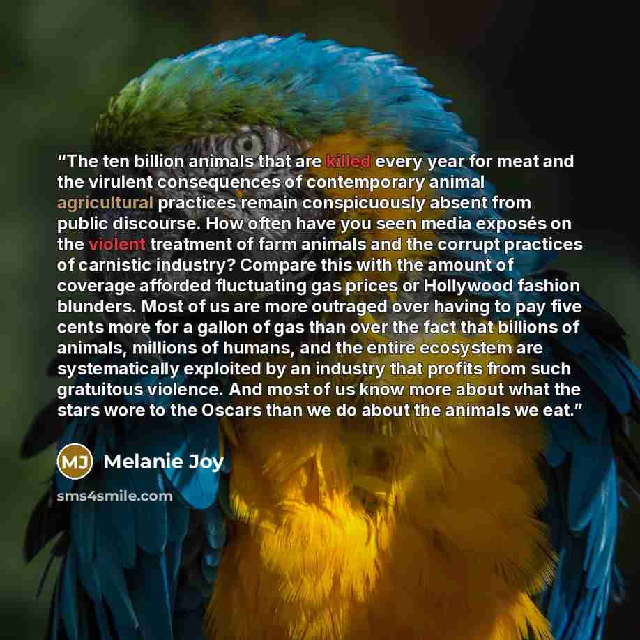 “The ten billion animals that are killed every year for meat and the virulent consequences of contemporary animal agricultural practices remain conspicuously absent from public discourse. How often have you seen media exposés on the violent treatment of farm animals and the corrupt practices of…” quote by Melanie Joy