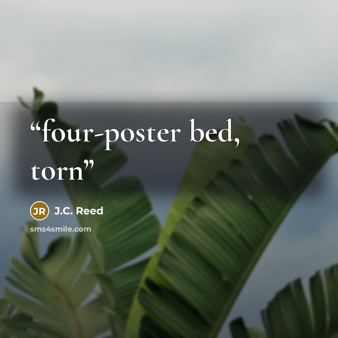 “four-poster bed, torn” quote by J.C. Reed