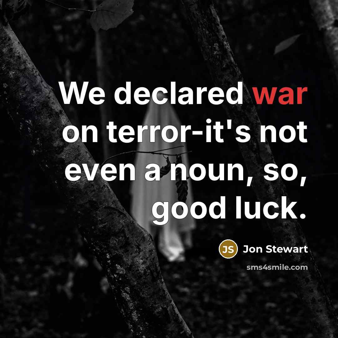 “We declared war on terror-it's not even a noun, so, good luck.” quote by Jon Stewart