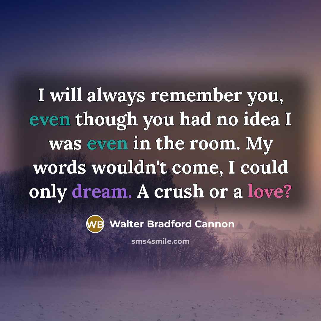 “I will always remember you, even though you had no idea I was even in the room. My words wouldn't come, I could only dream. A crush or a love?” quote by Walter Bradford Cannon