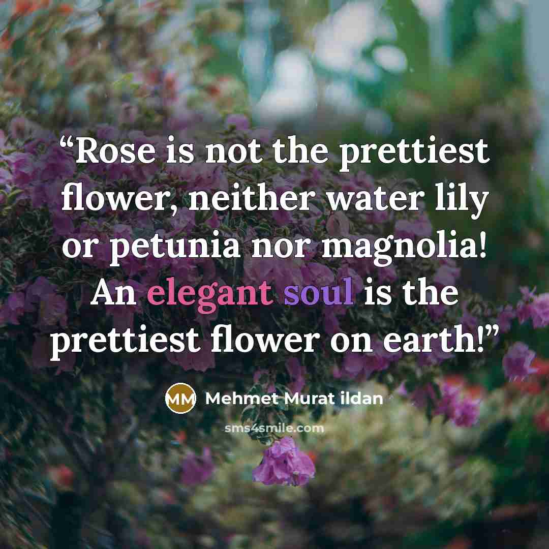 “Rose is not the prettiest flower, neither water lily or petunia nor magnolia! An elegant soul is the prettiest flower on earth!” quote by Mehmet Murat ildan
