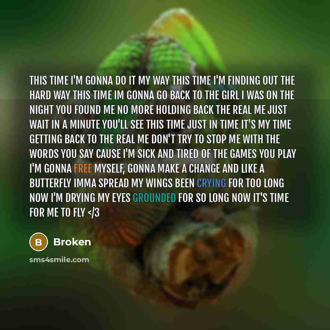 “This time I'm gonna do it my way This time I'm finding out the hard way This Time Im gonna go back To the girl I was On the night you found me No more Holding back the real me Just wait In a minute you'll see This Time Just in time It's my time Getting back to the real me Don't try to stop me With…” quote by Broken