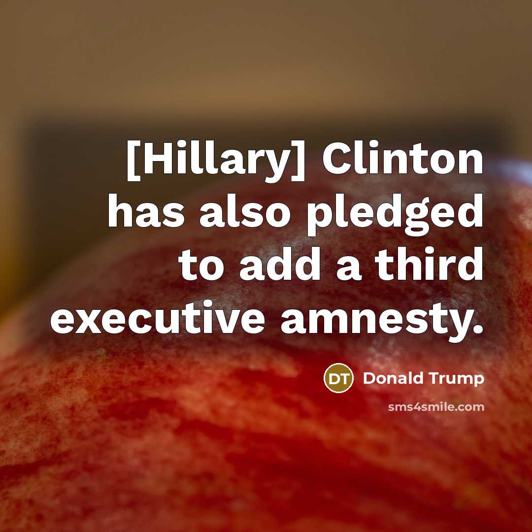 “[Hillary] Clinton has also pledged to add a third executive amnesty.” quote by Donald Trump