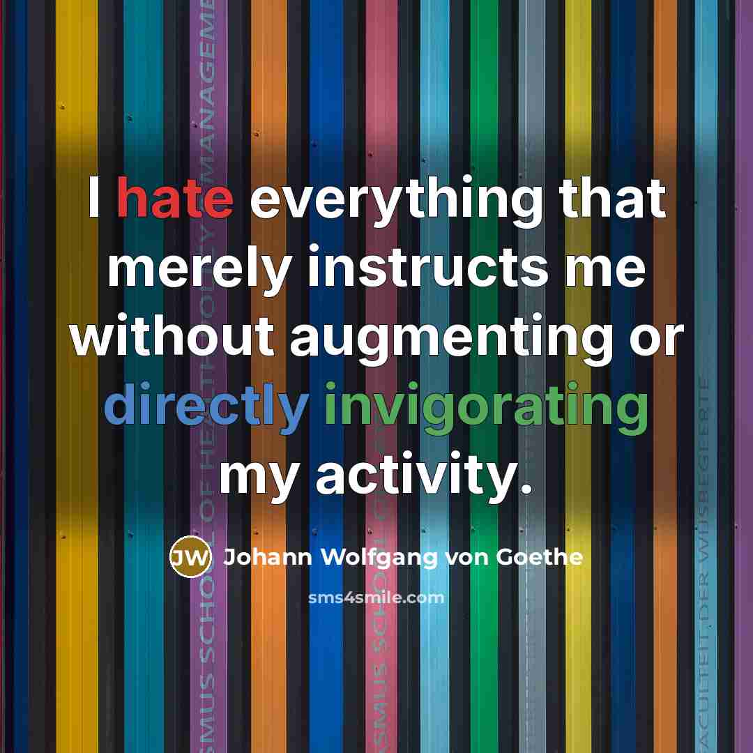 “I hate everything that merely instructs me without augmenting or directly invigorating my activity.” quote by Johann Wolfgang von Goethe