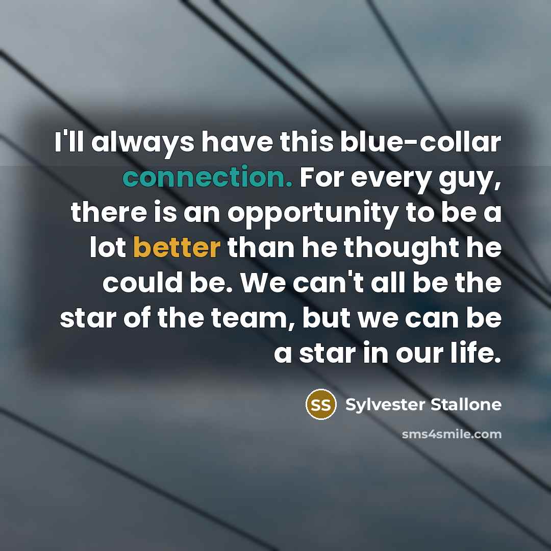 “I'll always have this blue-collar connection. For every guy, there is an opportunity to be a lot better than he thought he could be. We can't all be the star of the team, but we can be a star in our life.” quote by Sylvester Stallone