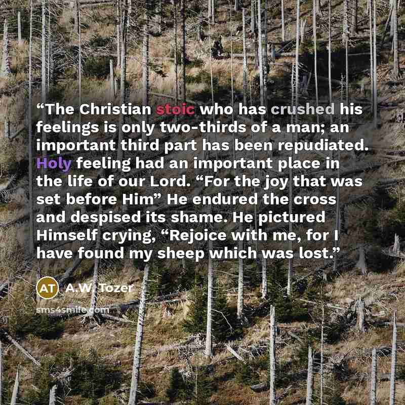 “The Christian stoic who has crushed his feelings is only two-thirds of a man; an important third part has been repudiated. Holy feeling had an important place in the life of our Lord. “For the joy that was set before Him” He endured the cross and despised its shame. He pictured Himself crying…” quote by A.W. Tozer