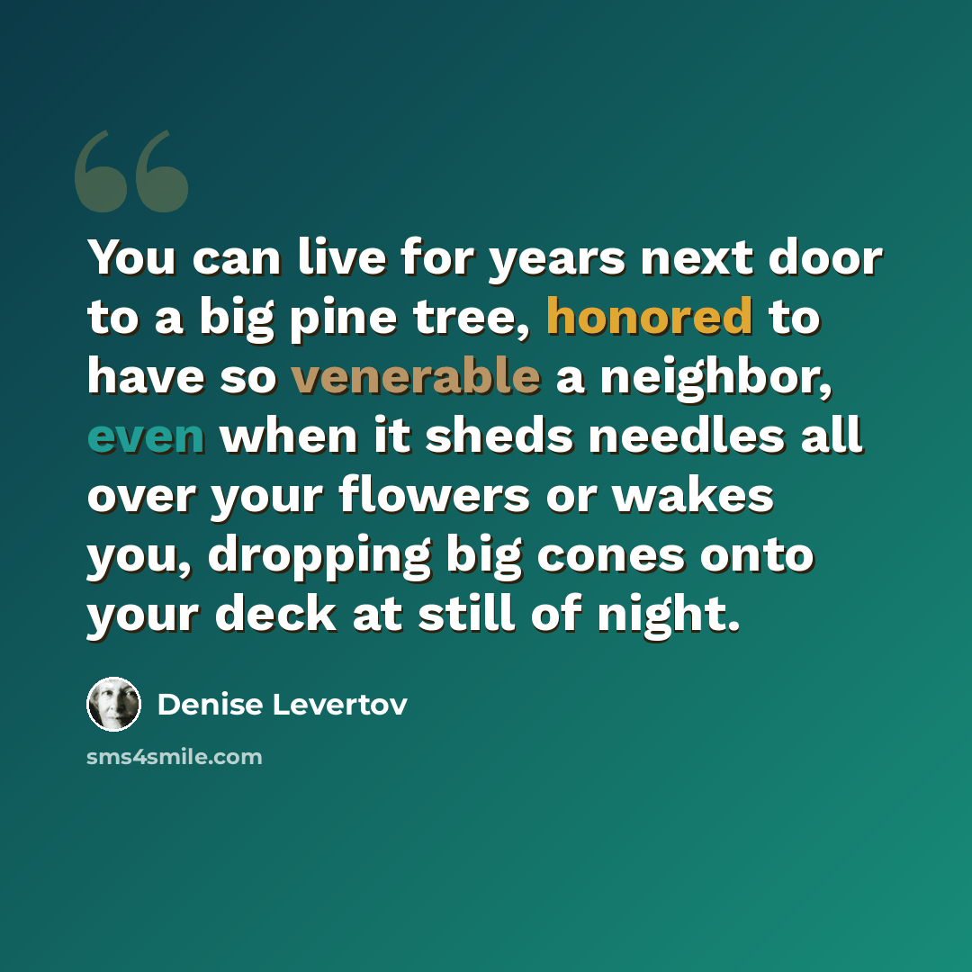 “You can live for years next door to a big pine tree, honored to have so venerable a neighbor, even when it sheds needles all over your flowers or wakes you, dropping big cones onto your deck at still of night.” quote by Denise Levertov