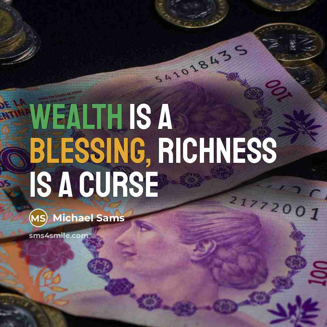 “Wealth is a blessing, richness is a curse” quote by Michael Sams