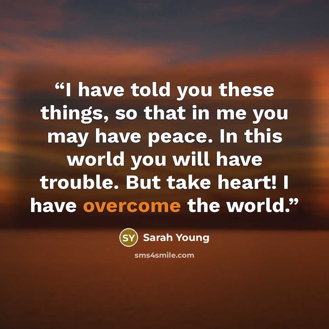 “I have told you these things, so that in me you may have peace. In this world you will have trouble. But take heart! I have overcome the world.” quote by Sarah Young