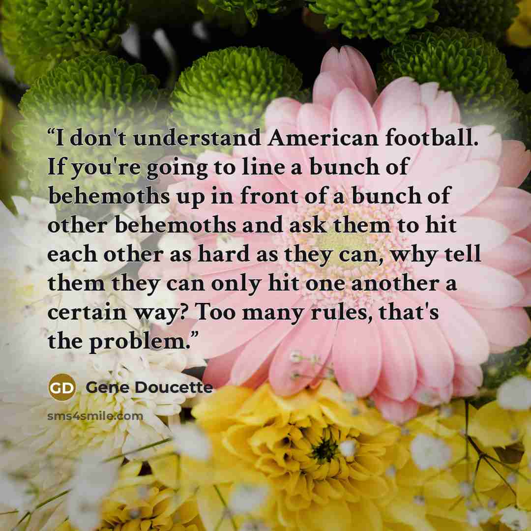 “I don't understand American football. If you're going to line a bunch of behemoths up in front of a bunch of other behemoths and ask them to hit each other as hard as they can, why tell them they can only hit one another a certain way? Too many rules, that's the problem.” quote by Gene Doucette