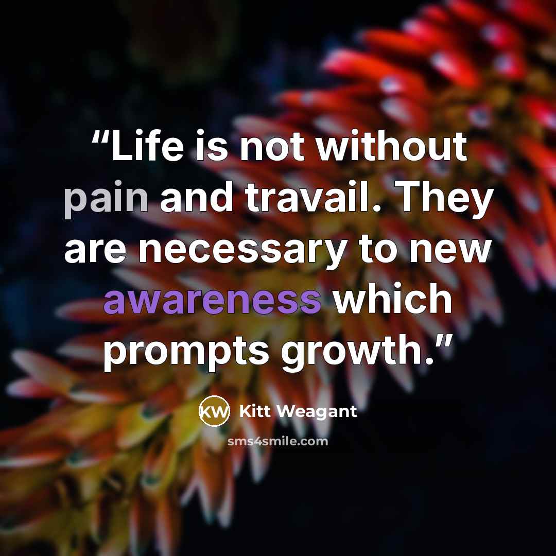 “Life is not without pain and travail. They are necessary to new awareness which prompts growth.” quote by Kitt Weagant