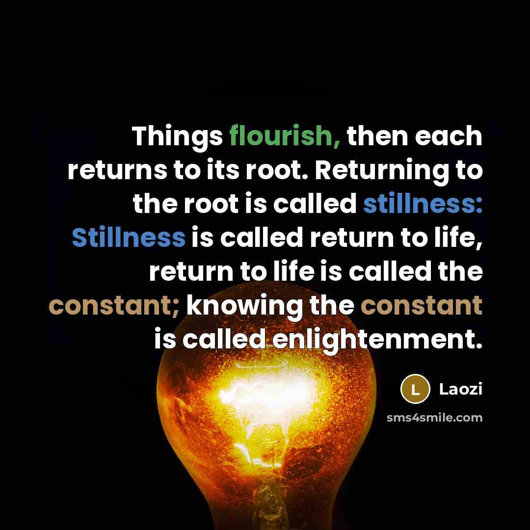 “Things flourish, then each returns to its root. Returning to the root is called stillness: Stillness is called return to life, return to life is called the constant; knowing the constant is called enlightenment.” quote by Laozi