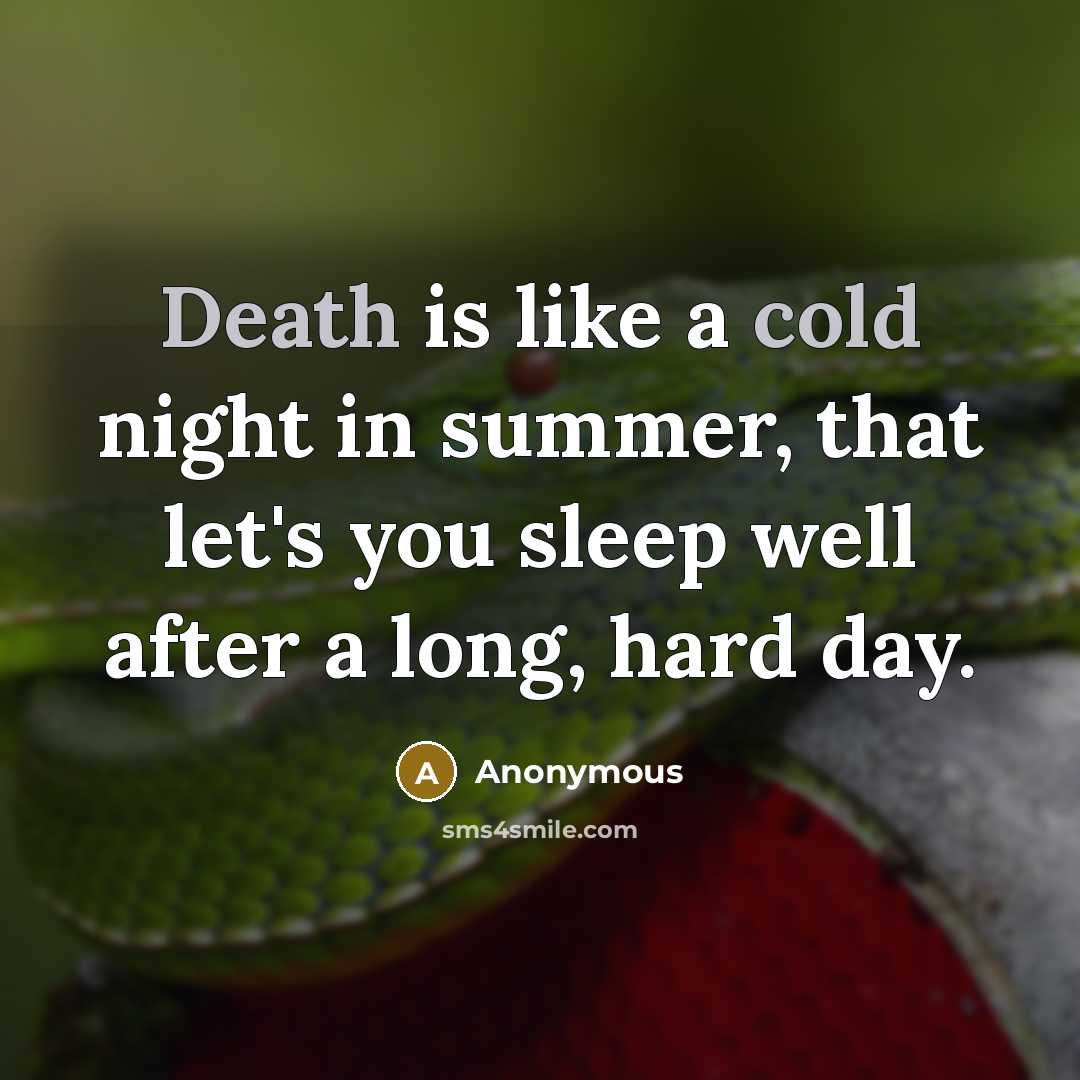 “Death is like a cold night in summer, that let's you sleep well after a long, hard day.” quote by Anonymous