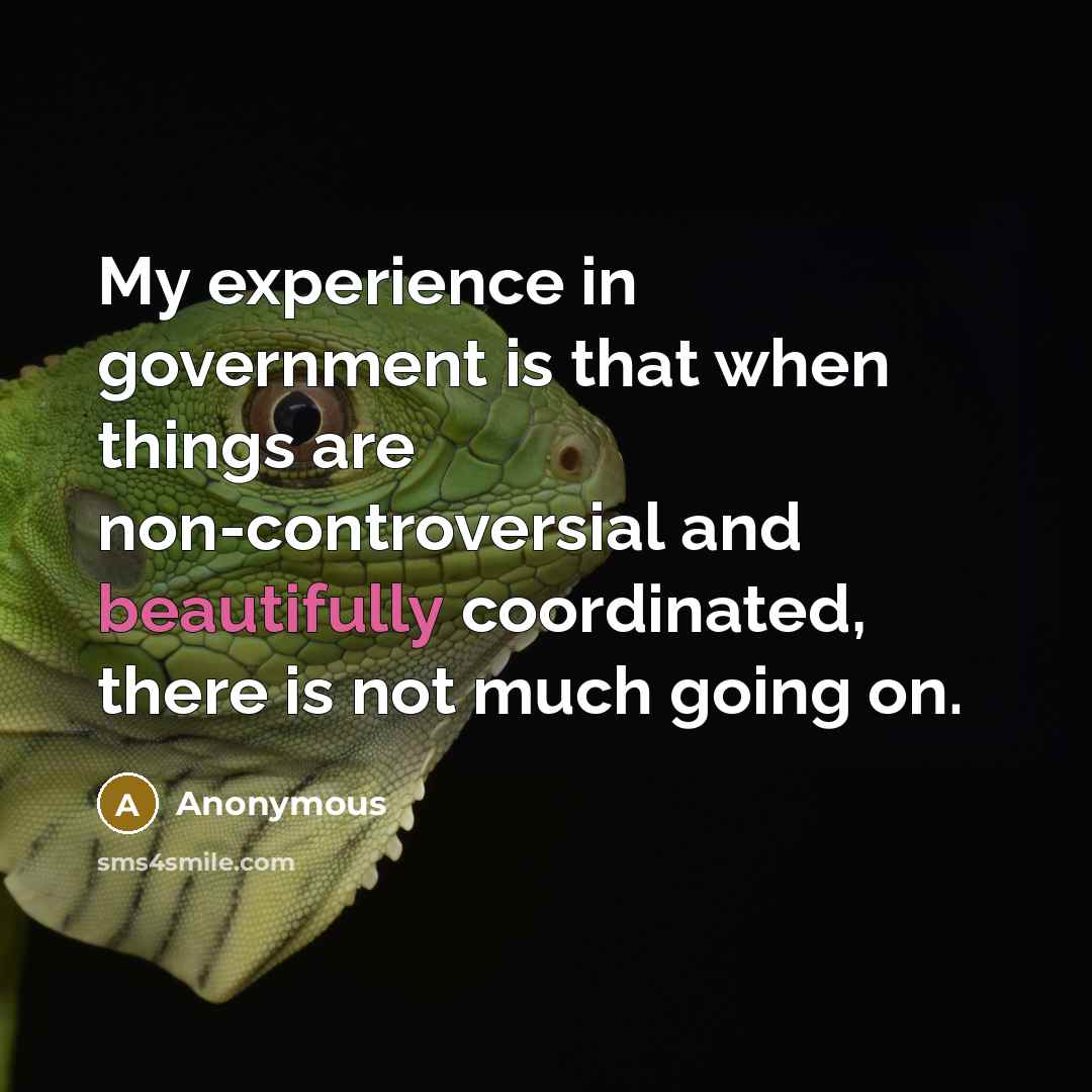 “My experience in government is that when things are non-controversial and beautifully coordinated, there is not much going on.” quote by Anonymous