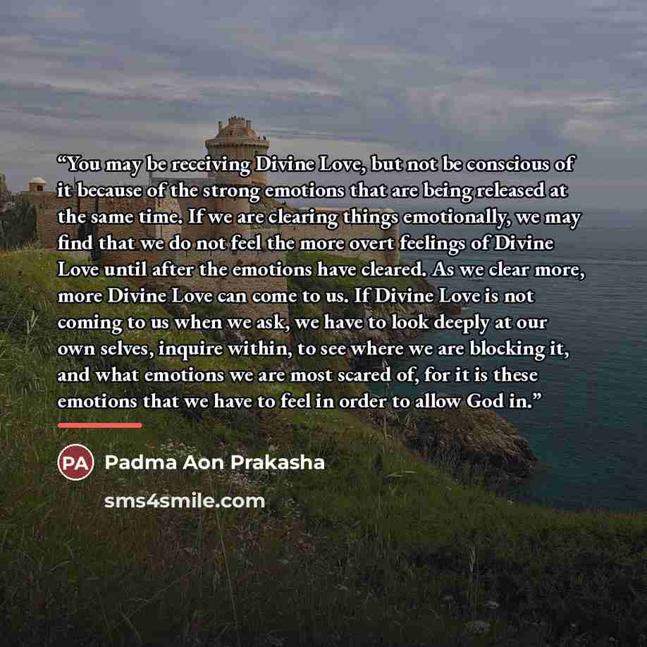 “You may be receiving Divine Love, but not be conscious of it because of the strong emotions that are being released at the same time. If we are clearing things emotionally, we may find that we do not feel the more overt feelings of Divine Love until after the emotions have cleared. As we clear…” quote by Padma Aon Prakasha