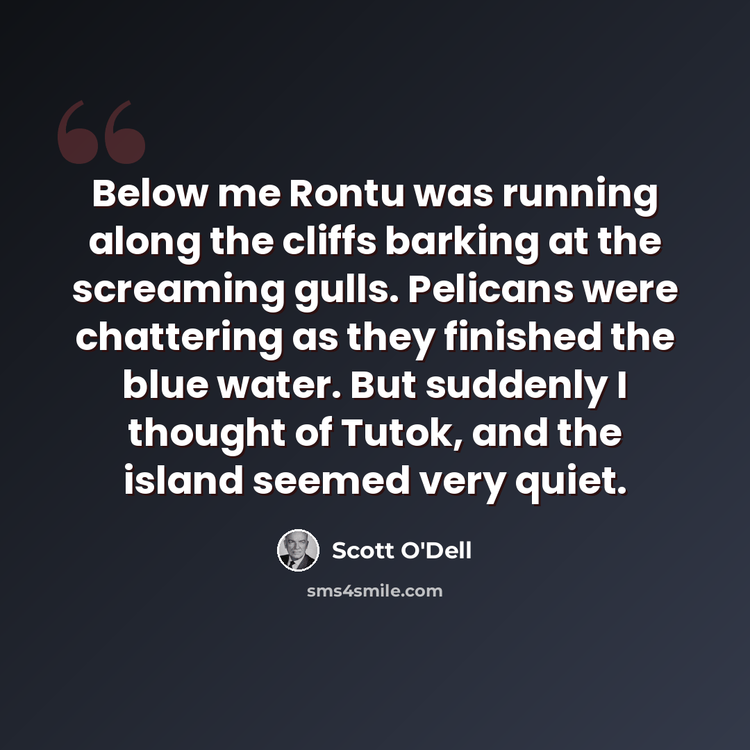 “Below me Rontu was running along the cliffs barking at the screaming gulls. Pelicans were chattering as they finished the blue water. But suddenly I thought of Tutok, and the island seemed very quiet.” quote by Scott O'Dell
