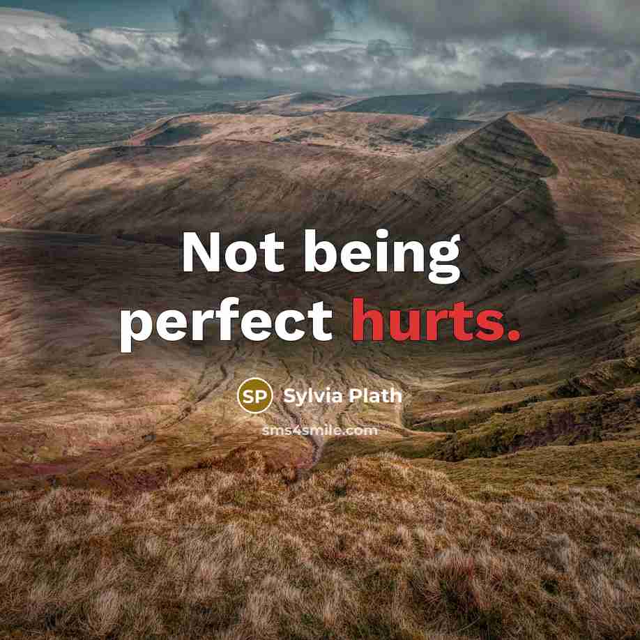 “Not being perfect hurts.” quote by Sylvia Plath