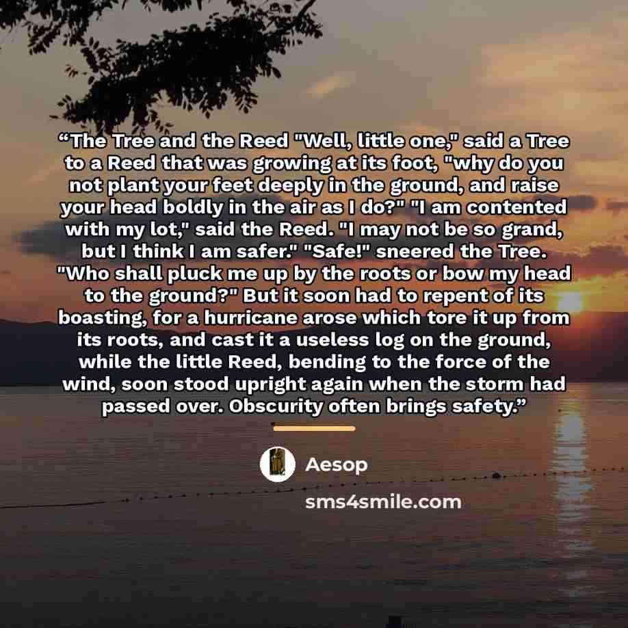 “The Tree and the Reed "Well, little one," said a Tree to a Reed that was growing at its foot, "why do you not plant your feet deeply in the ground, and raise your head boldly in the air as I do?" "I am contented with my lot," said the Reed. "I may not be so grand, but I think I am safer." "Safe!"…” quote by Aesop