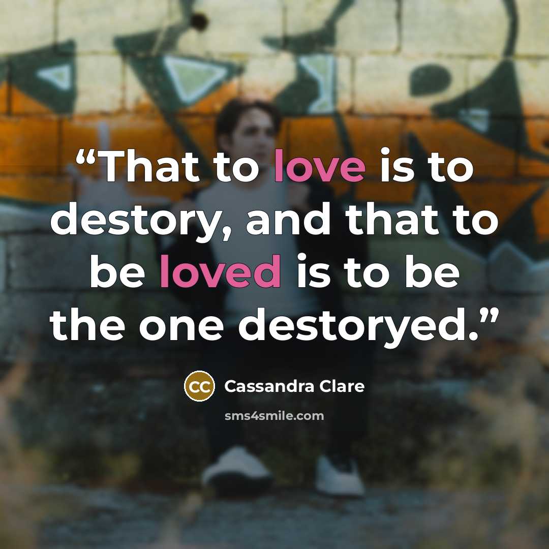 “That to love is to destory, and that to be loved is to be the one destoryed.” quote by Cassandra Clare