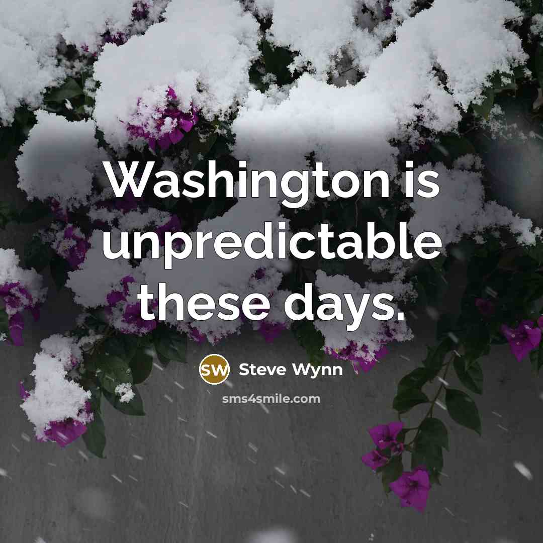 “Washington is unpredictable these days.” quote by Steve Wynn