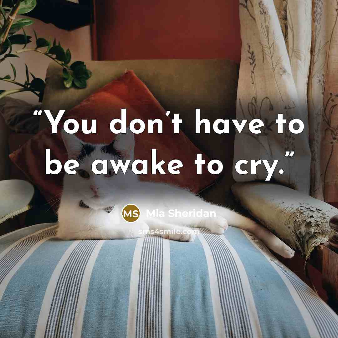 “You don’t have to be awake to cry.” quote by Mia Sheridan