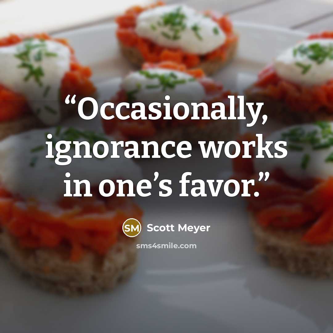 “Occasionally, ignorance works in one’s favor.” quote by Scott Meyer