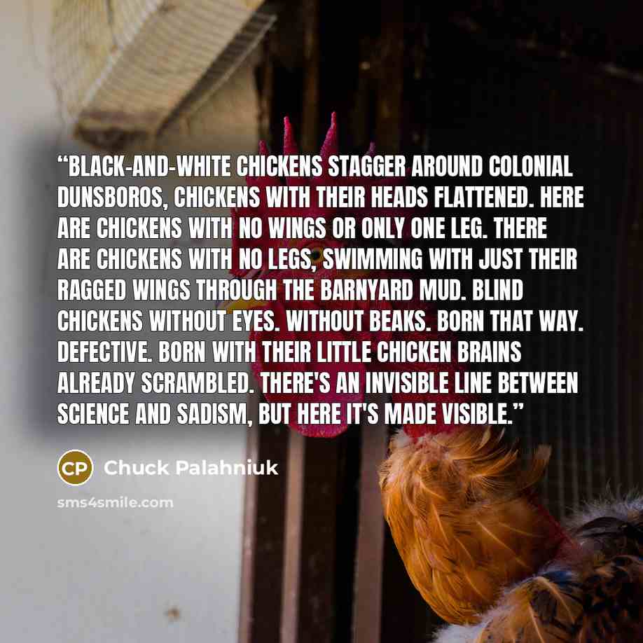 “Black-and-white chickens stagger around Colonial Dunsboros, chickens with their heads flattened. Here are chickens with no wings or only one leg. There are chickens with no legs, swimming with just their ragged wings through the barnyard mud. Blind chickens without eyes. Without beaks. Born that…” quote by Chuck Palahniuk
