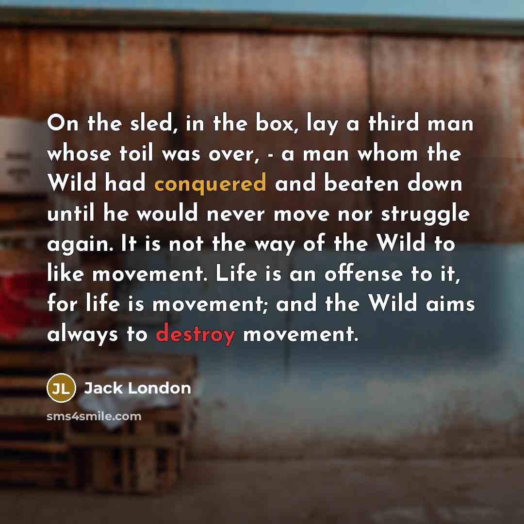 “On the sled, in the box, lay a third man whose toil was over, - a man whom the Wild had conquered and beaten down until he would never move nor struggle again. It is not the way of the Wild to like movement. Life is an offense to it, for life is movement; and the Wild aims always to destroy…” quote by Jack London