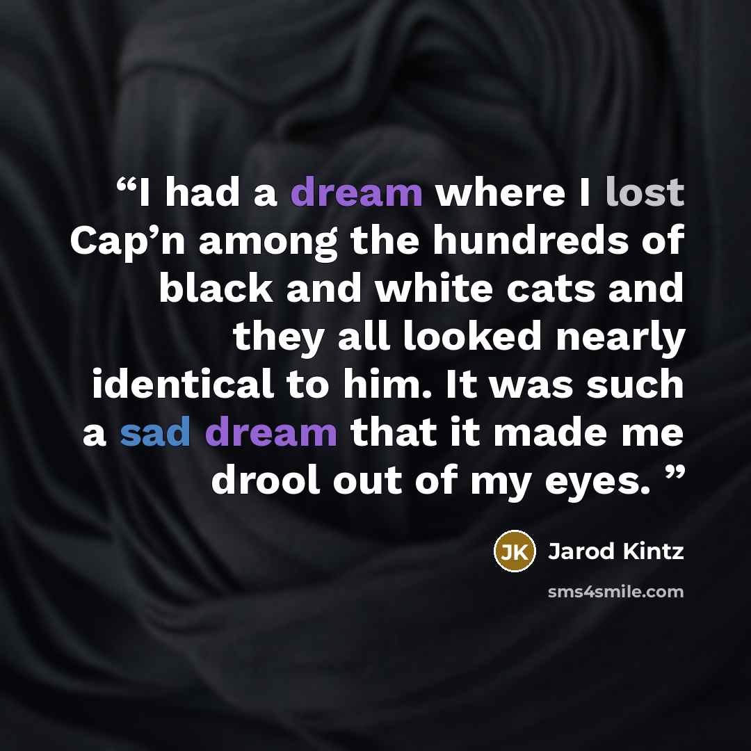 “I had a dream where I lost Cap’n among the hundreds of black and white cats and they all looked nearly identical to him. It was such a sad dream that it made me drool out of my eyes.” quote by Jarod Kintz