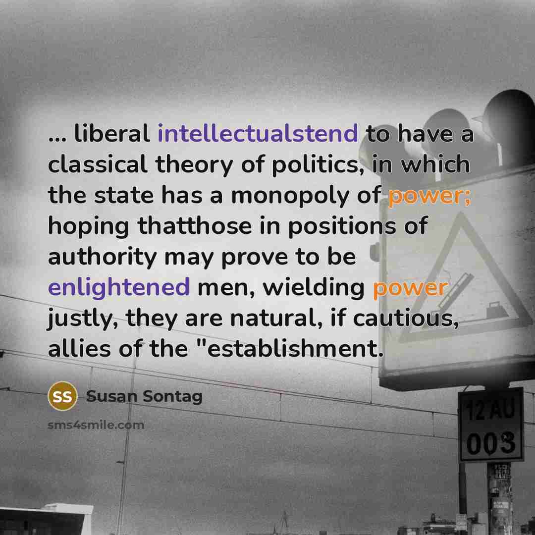 “... liberal intellectualstend to have a classical theory of politics, in which the state has a monopoly of power; hoping thatthose in positions of authority may prove to be enlightened men, wielding power justly, they are natural, if cautious, allies of the "establishment.” quote by Susan Sontag
