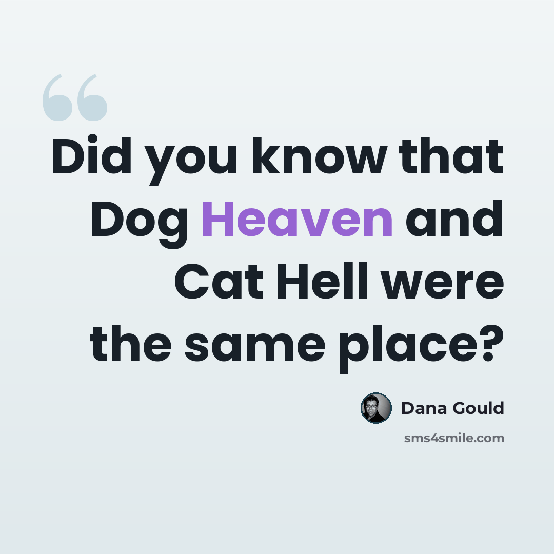 “Did you know that Dog Heaven and Cat Hell were the same place?” quote by Dana Gould