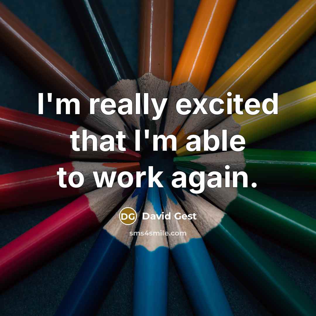 “I'm really excited that I'm able to work again.” quote by David Gest