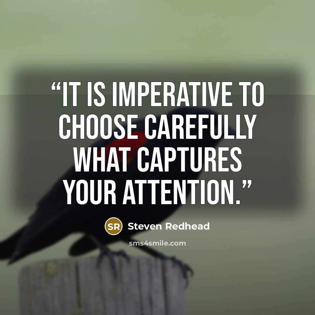 “It is imperative to choose carefully what captures your attention.” quote by Steven Redhead