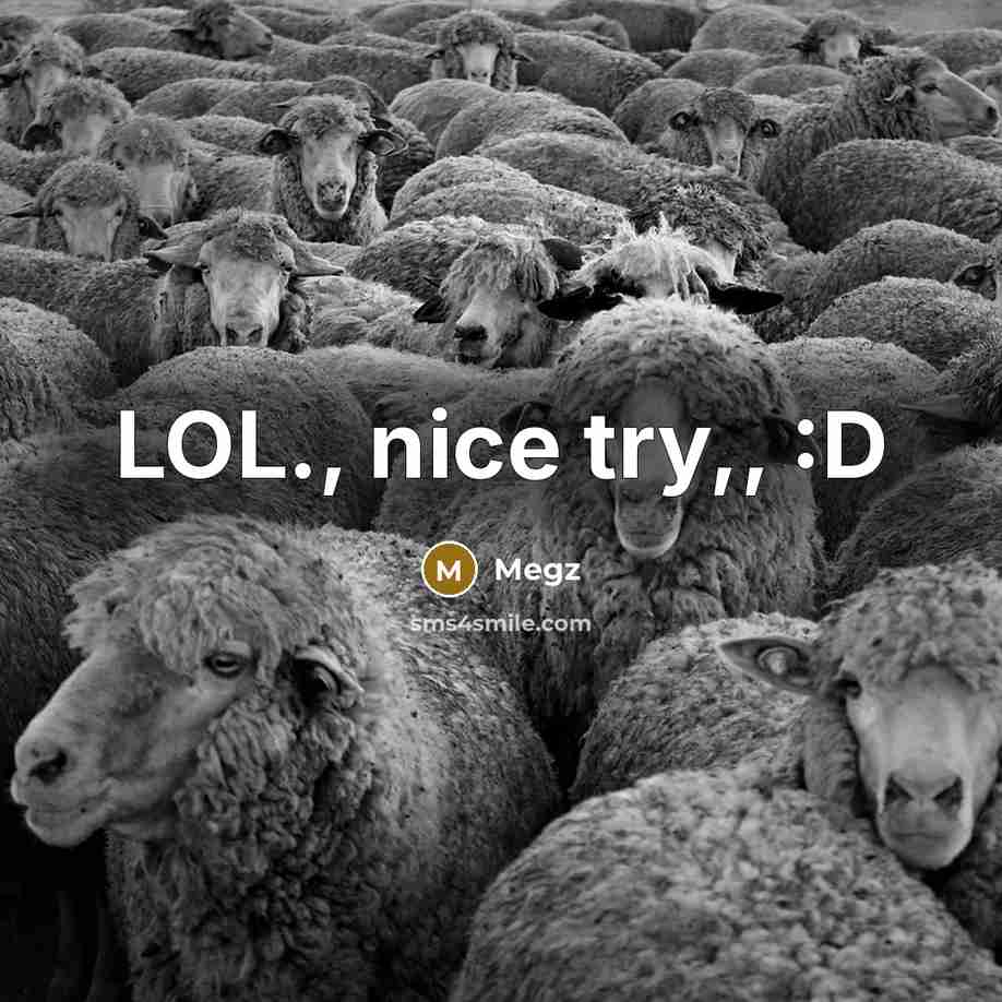 “LOL., nice try,, :D” quote by Megz