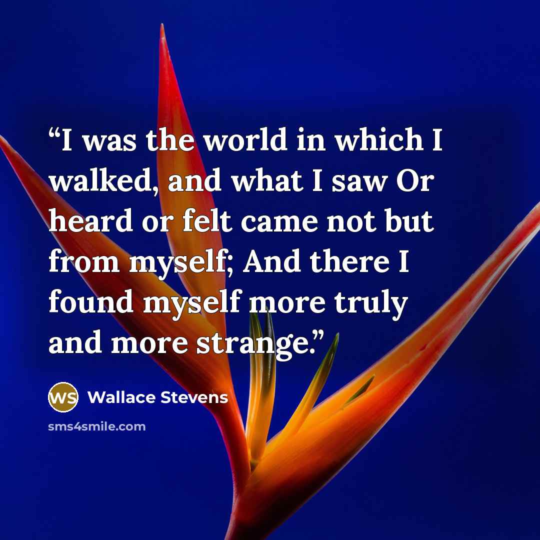 “I was the world in which I walked, and what I saw Or heard or felt came not but from myself; And there I found myself more truly and more strange.” quote by Wallace Stevens
