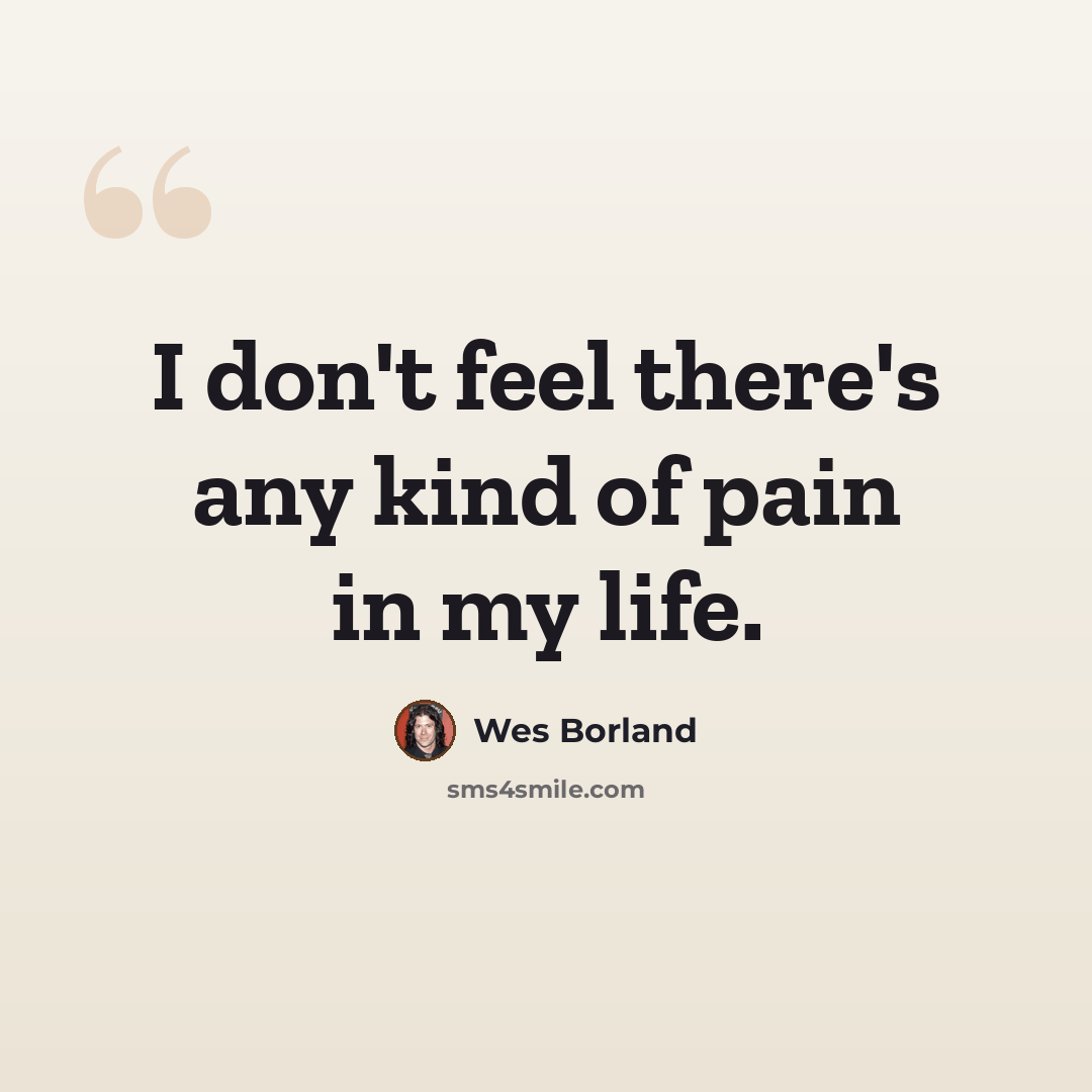 “I don't feel there's any kind of pain in my life.” quote by Wes Borland