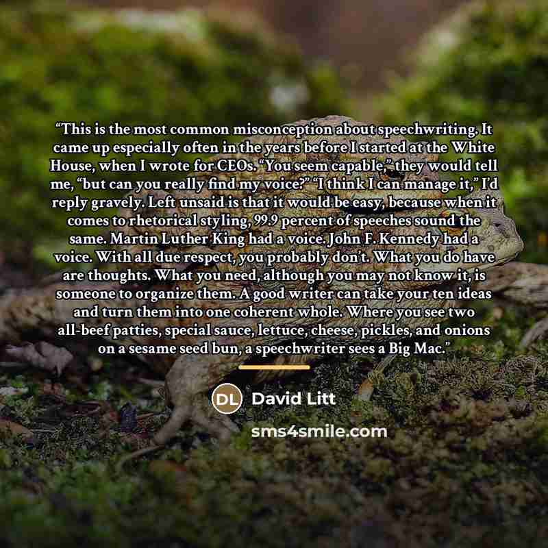 “This is the most common misconception about speechwriting. It came up especially often in the years before I started at the White House, when I wrote for CEOs. “You seem capable,” they would tell me, “but can you really find my voice?” “I think I can manage it,” I’d reply gravely. Left unsaid is…” quote by David Litt