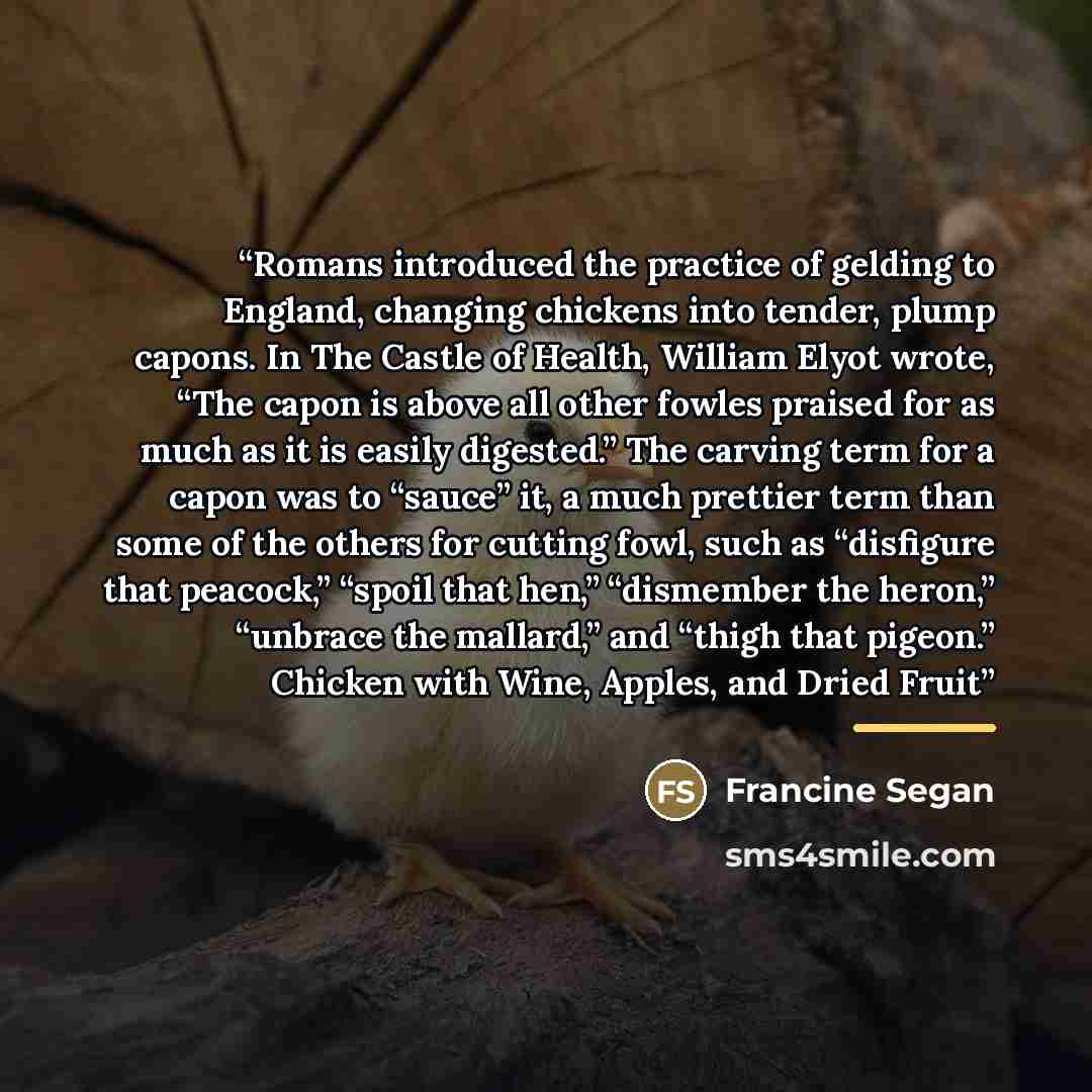 “Romans introduced the practice of gelding to England, changing chickens into tender, plump capons. In The Castle of Health, William Elyot wrote, “The capon is above all other fowles praised for as much as it is easily digested.” The carving term for a capon was to “sauce” it, a much prettier term…” quote by Francine Segan