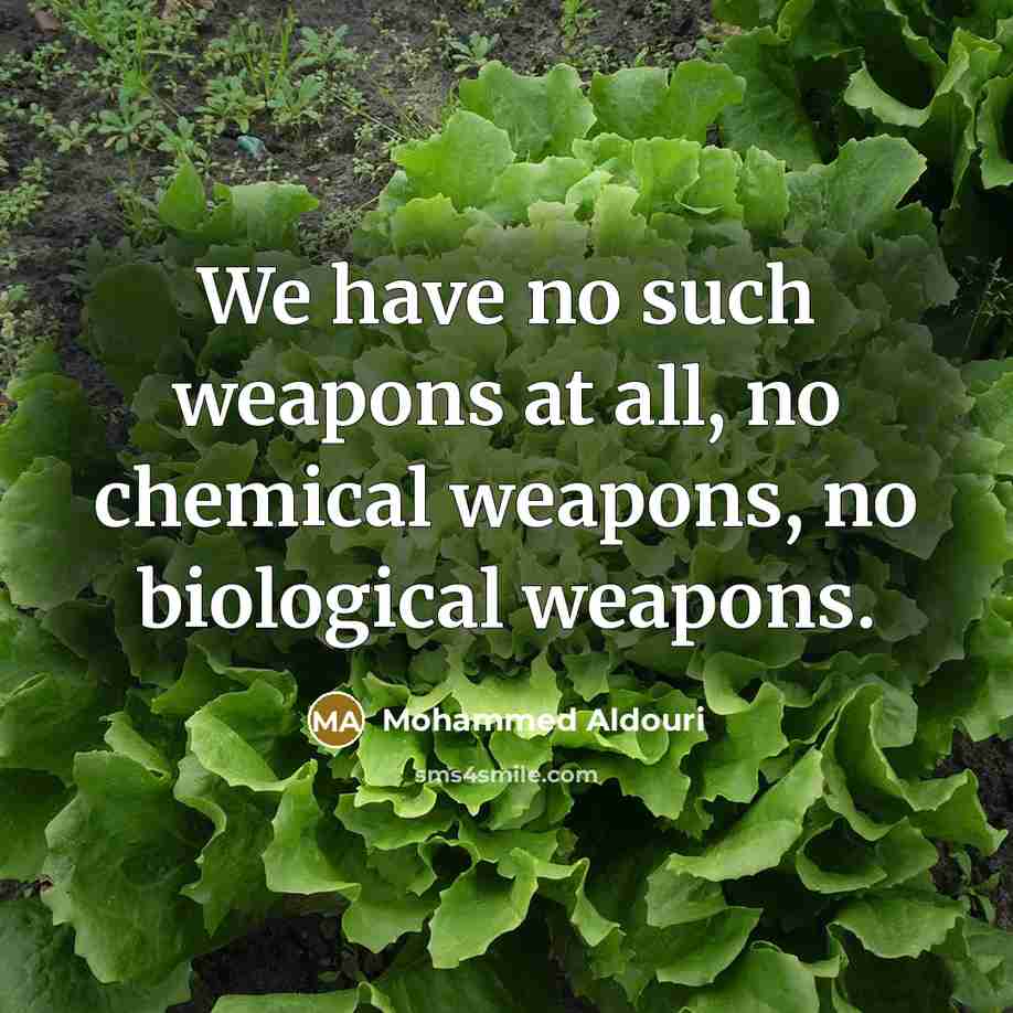 “We have no such weapons at all, no chemical weapons, no biological weapons.” quote by Mohammed Aldouri