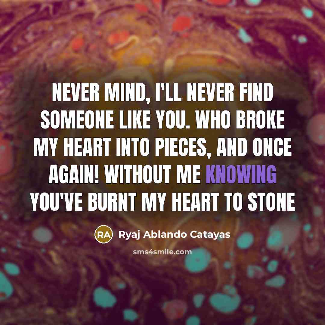 “Never mind, I'll never find someone like you. Who broke my heart into pieces, And Once again! Without me knowing you've burnt my heart to stone” quote by Ryaj Ablando Catayas