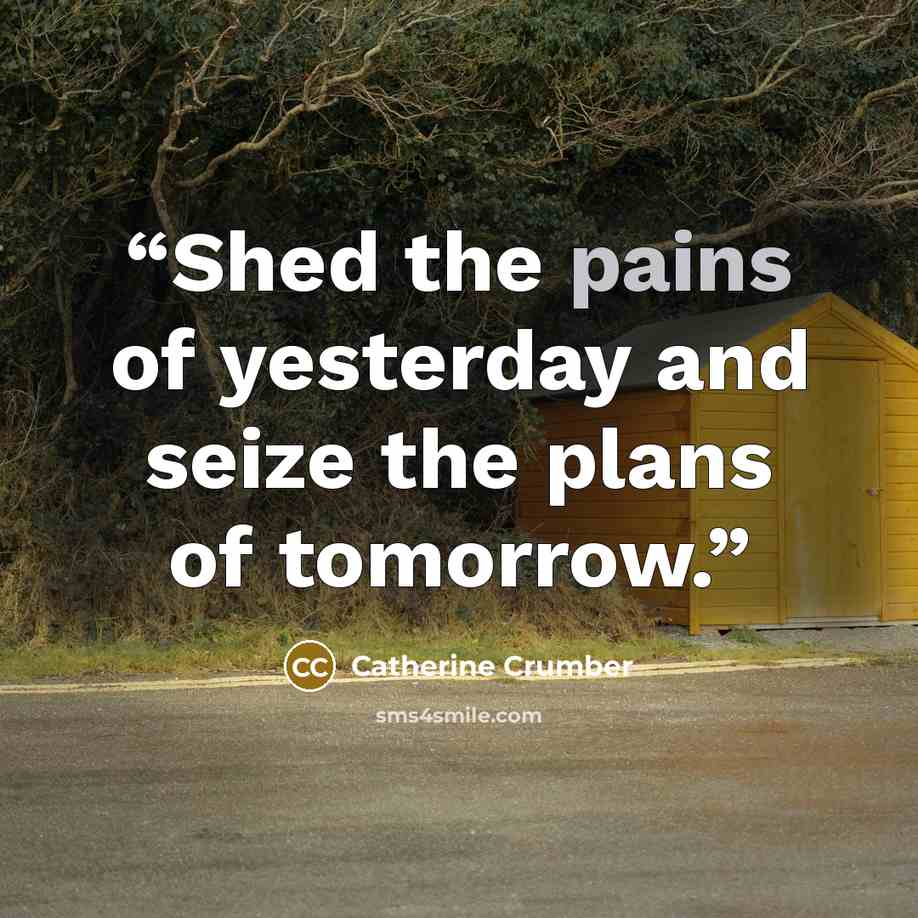 “Shed the pains of yesterday and seize the plans of tomorrow.” quote by Catherine Crumber