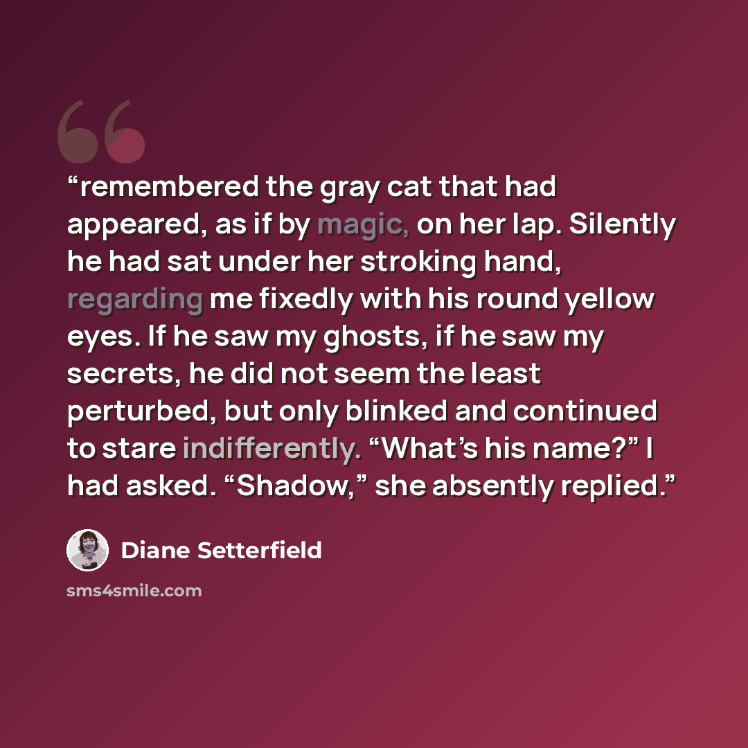 “remembered the gray cat that had appeared, as if by magic, on her lap. Silently he had sat under her stroking hand, regarding me fixedly with his round yellow eyes. If he saw my ghosts, if he saw my secrets, he did not seem the least perturbed, but only blinked and continued to stare…” quote by Diane Setterfield
