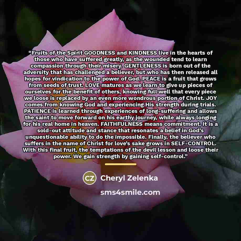 “Fruits of the Spirit GOODNESS and KINDNESS live in the hearts of those who have suffered greatly, as the wounded tend to learn compassion through their misery. GENTLENESS is born out of the adversity that has challenged a believer, but who has then released all hopes for vindication to the power…” quote by Cheryl Zelenka
