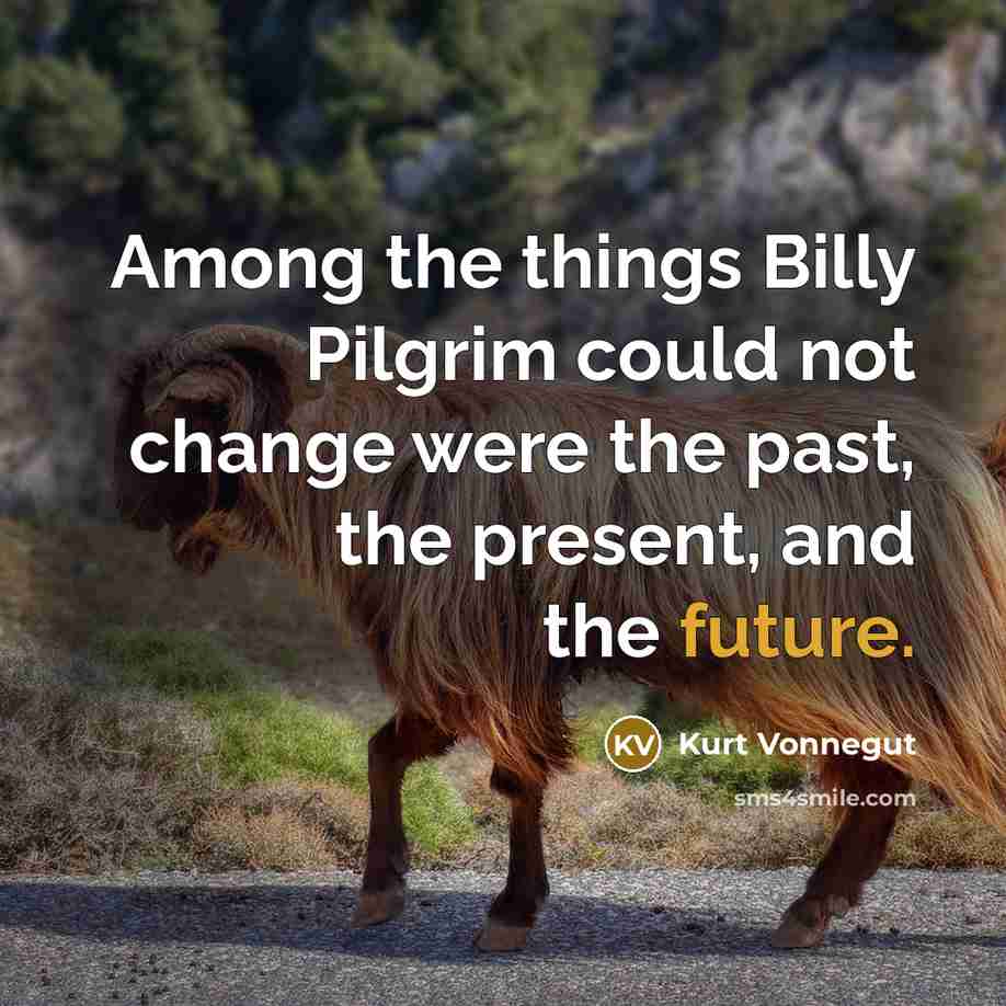 “Among the things Billy Pilgrim could not change were the past, the present, and the future.” quote by Kurt Vonnegut