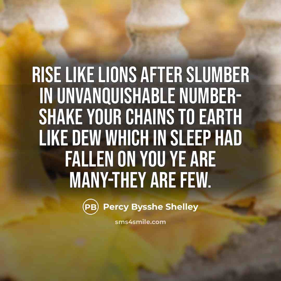 “Rise like Lions after slumber In unvanquishable number- Shake your chains to earth like dew Which in sleep had fallen on you Ye are many-they are few.” quote by Percy Bysshe Shelley