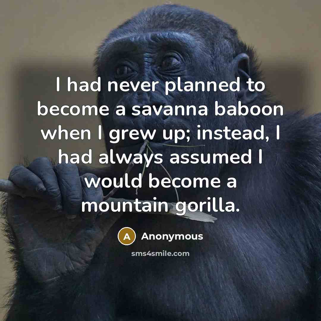 “I had never planned to become a savanna baboon when I grew up; instead, I had always assumed I would become a mountain gorilla.” quote by Anonymous