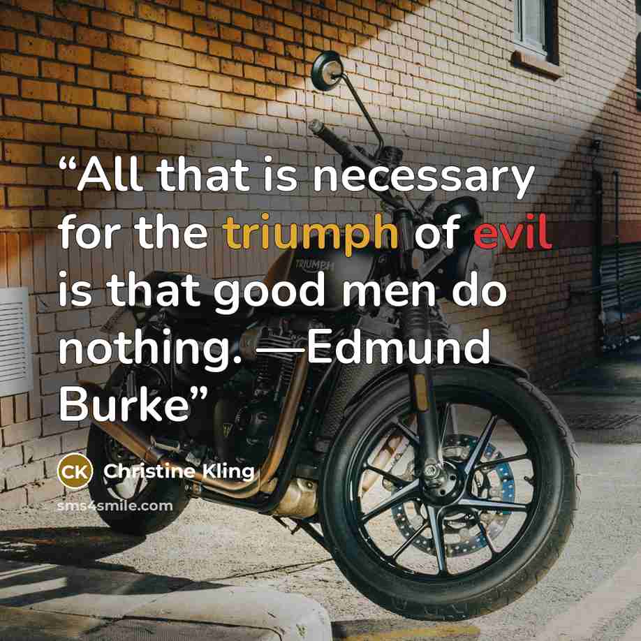 “All that is necessary for the triumph of evil is that good men do nothing. —Edmund Burke” quote by Christine Kling